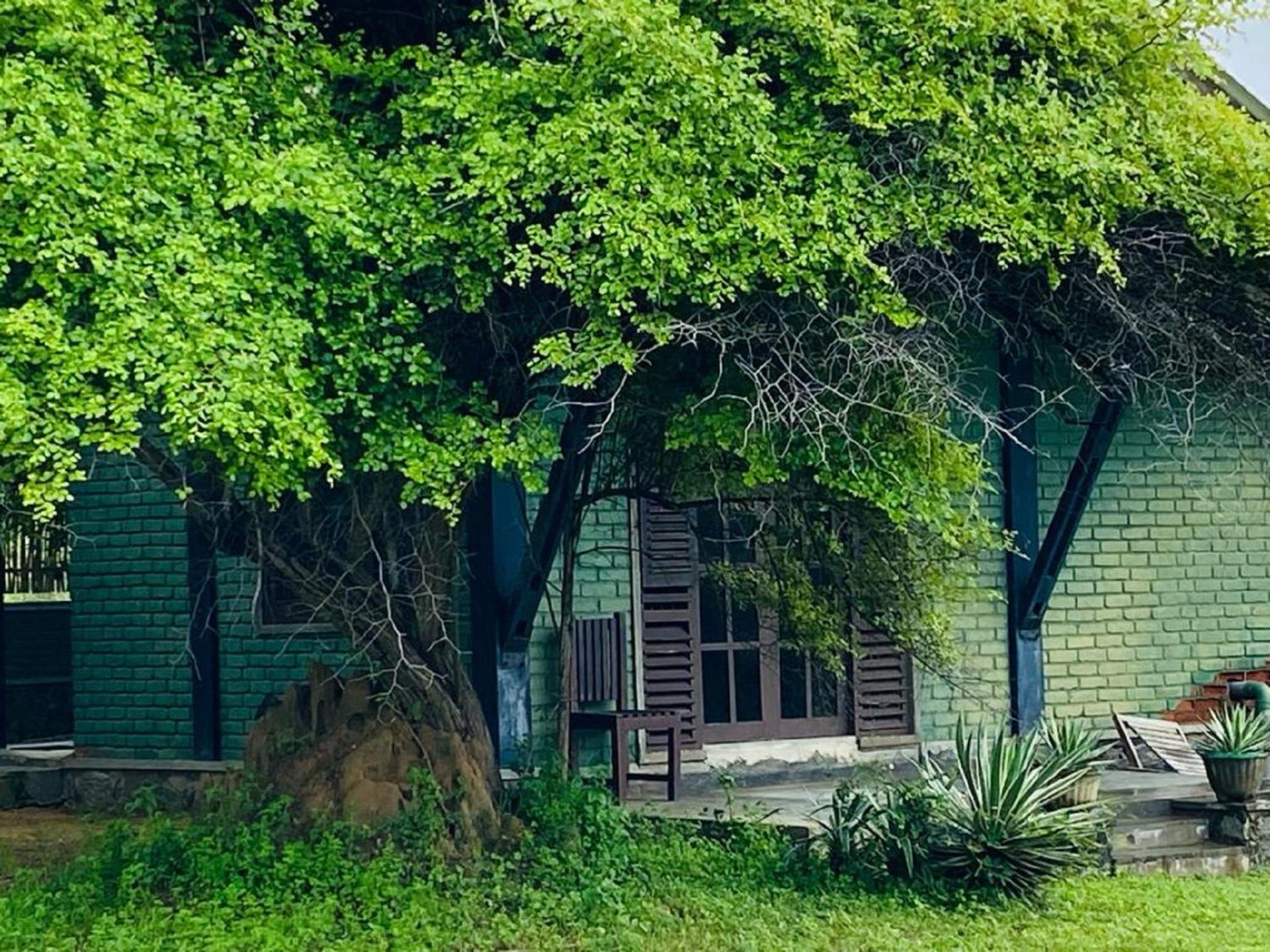 Yala Ying Yang Hostel & Camping Exterior photo