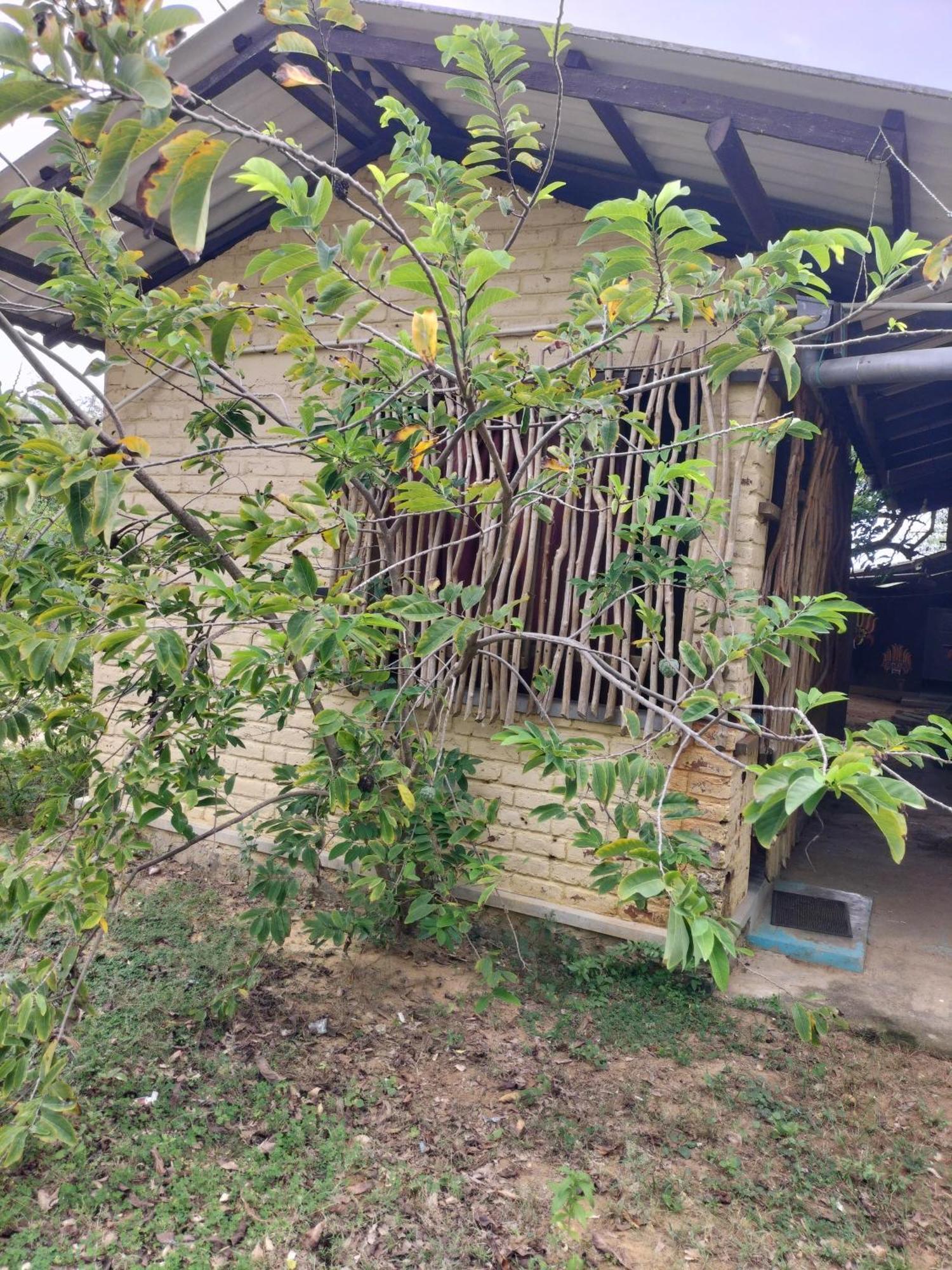 Yala Ying Yang Hostel & Camping Exterior photo